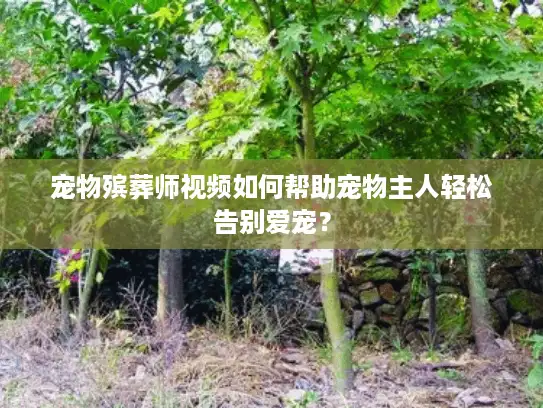 宠物殡葬师视频如何帮助宠物主人轻松告别爱宠？