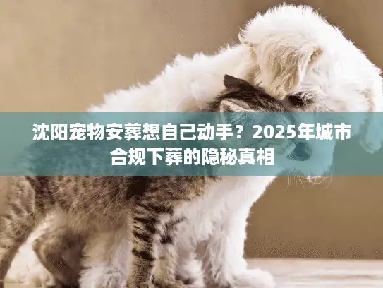 沈阳宠物安葬想自己动手？2025年城市合规下葬的隐秘真相
