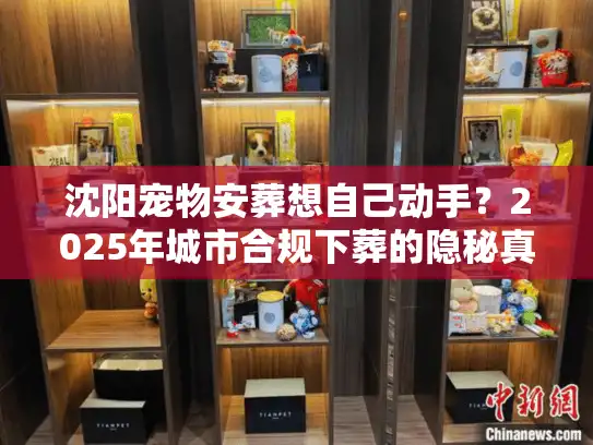 沈阳宠物安葬想自己动手？2025年城市合规下葬的隐秘真相