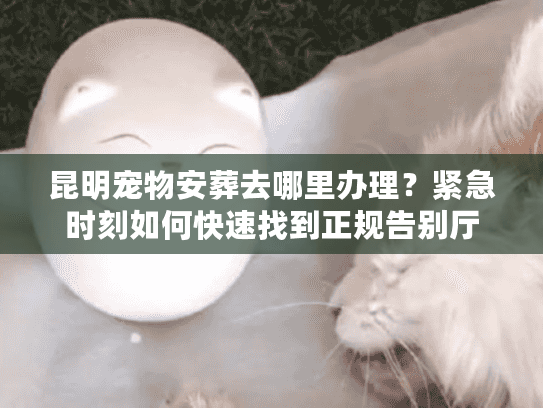 昆明宠物安葬去哪里办理？紧急时刻如何快速找到正规告别厅