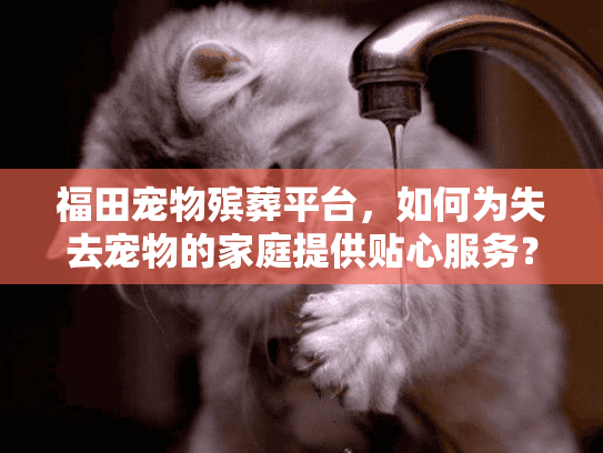 福田宠物殡葬平台,如何为失去宠物的家庭提供贴心服务? 福田宠物殡葬平台,如何为失去宠物的家庭提供贴心服务?
