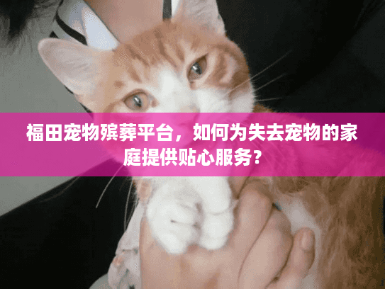 福田宠物殡葬平台,如何为失去宠物的家庭提供贴心服务? 福田宠物殡葬平台,如何为失去宠物的家庭提供贴心服务?