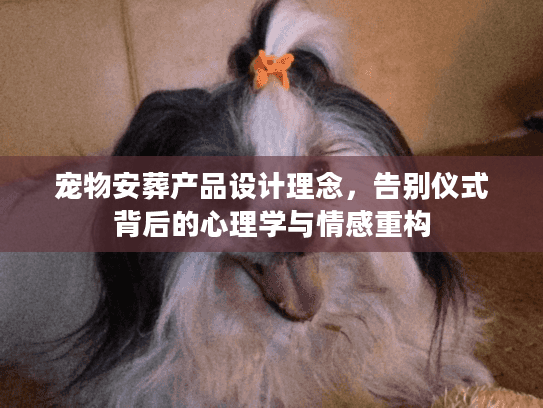宠物安葬产品设计理念，告别仪式背后的心理学与情感重构