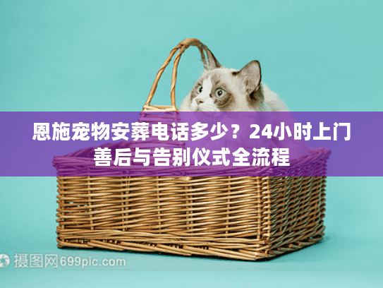 恩施宠物安葬电话多少？24小时上门善后与告别仪式全流程