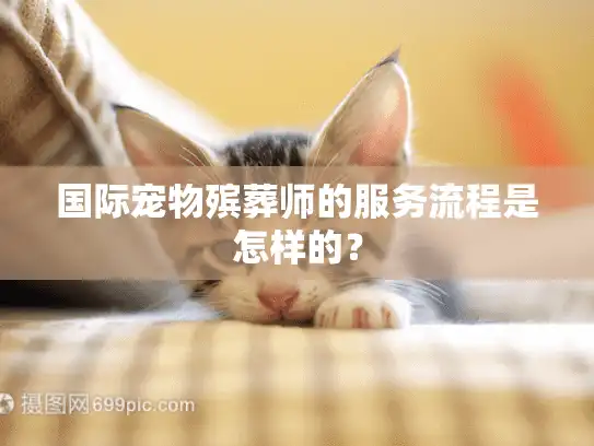 国际宠物殡葬师的服务流程是怎样的？
