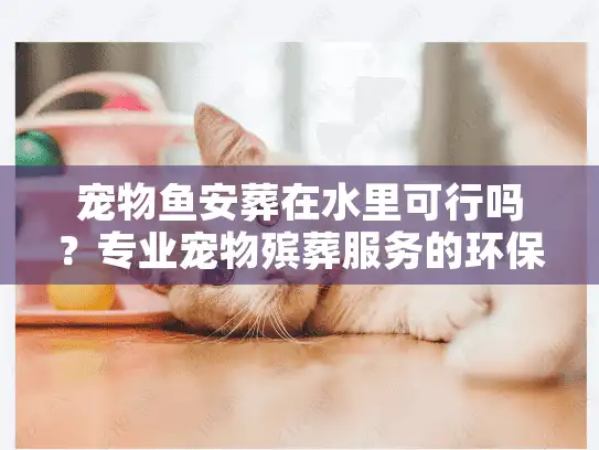 宠物鱼安葬在水里可行吗？专业宠物殡葬服务的环保水葬解析