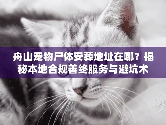 舟山宠物尸体安葬地址在哪？揭秘本地合规善终服务与避坑术