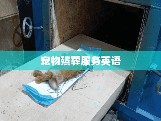 宠物殡葬服务英语 宠物殡葬服务英语