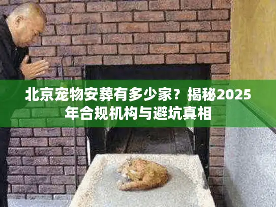 北京宠物安葬有多少家？揭秘2025年合规机构与避坑真相