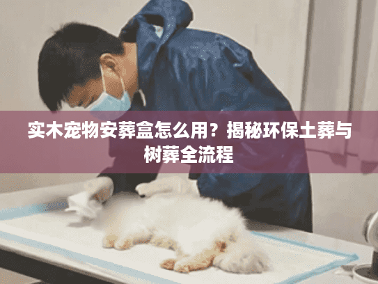 实木宠物安葬盒怎么用？揭秘环保土葬与树葬全流程