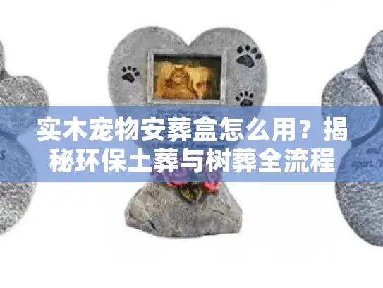 实木宠物安葬盒怎么用？揭秘环保土葬与树葬全流程