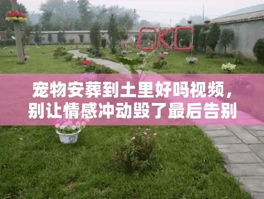 宠物安葬到土里好吗视频,别让情感冲动毁了最后告别 宠物安葬到土里好吗视频,别让情感冲动毁了最后告别