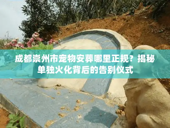 成都崇州市宠物安葬哪里正规?揭秘单独火化背后的告别仪式 成都崇州市宠物安葬哪里正规?揭秘单独火化背后的告别仪式
