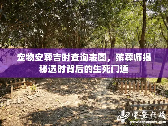 宠物安葬吉时查询表图,殡葬师揭秘选时背后的生死门道 宠物安葬吉时查询表图,殡葬师揭秘选时背后的生死门道