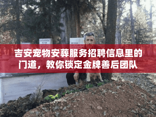 吉安宠物安葬服务招聘信息里的门道，教你锁定金牌善后团队