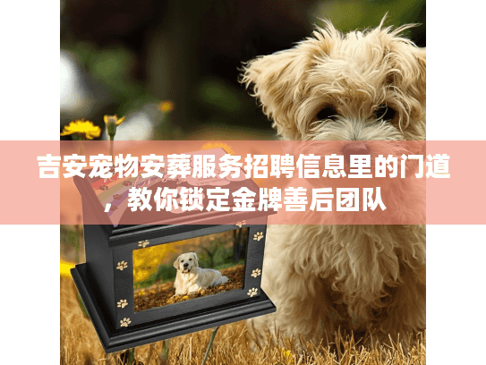 吉安宠物安葬服务招聘信息里的门道，教你锁定金牌善后团队