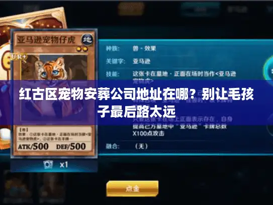 红古区宠物安葬公司地址在哪？别让毛孩子最后路太远