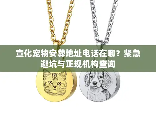 宣化宠物安葬地址电话在哪？紧急避坑与正规机构查询