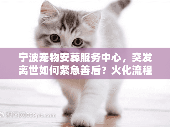 宁波宠物安葬服务中心，突发离世如何紧急善后？火化流程与收费内幕