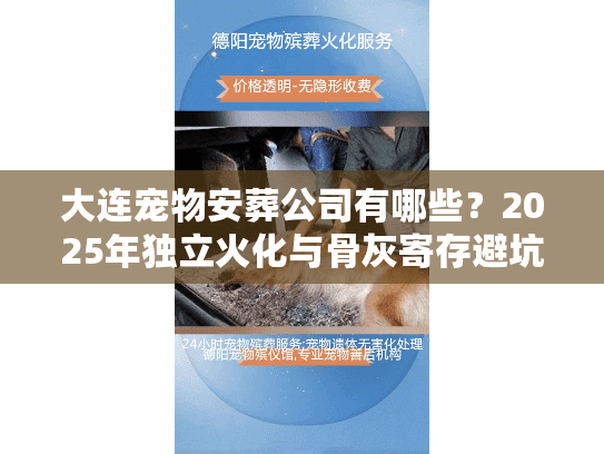 大连宠物安葬公司有哪些？2025年独立火化与骨灰寄存避坑实录