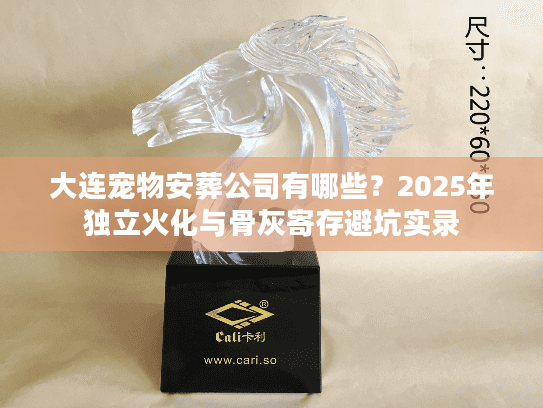 大连宠物安葬公司有哪些？2025年独立火化与骨灰寄存避坑实录