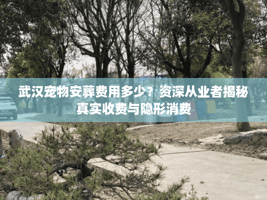 武汉宠物安葬费用多少？资深从业者揭秘真实收费与隐形消费