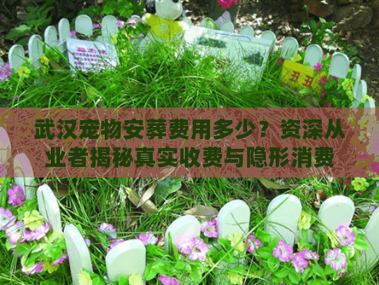 武汉宠物安葬费用多少？资深从业者揭秘真实收费与隐形消费