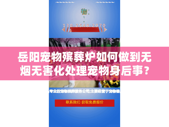 岳阳宠物殡葬炉如何做到无烟无害化处理宠物身后事？