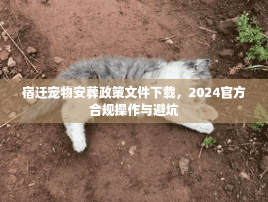 宿迁宠物安葬政策文件下载，2024官方合规操作与避坑