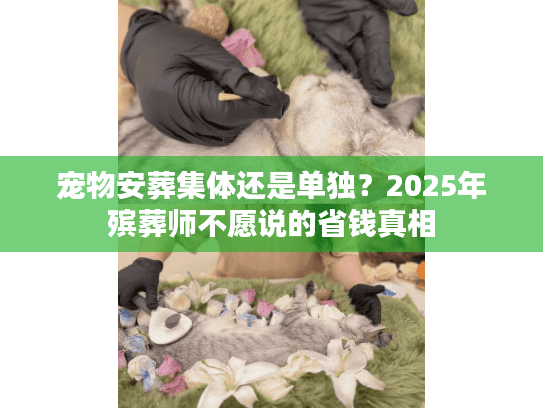 宠物安葬集体还是单独？2025年殡葬师不愿说的省钱真相