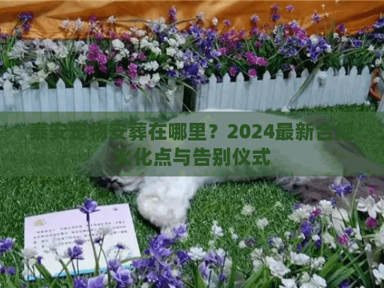 泰安宠物安葬在哪里？2024最新合规火化点与告别仪式