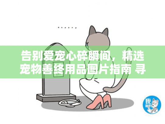 告别爱宠心碎瞬间，精选宠物善终用品图片指南 寻找完美纪念方案