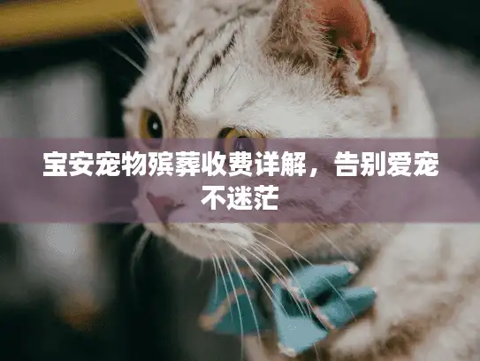 宝安宠物殡葬收费详解，告别爱宠不迷茫