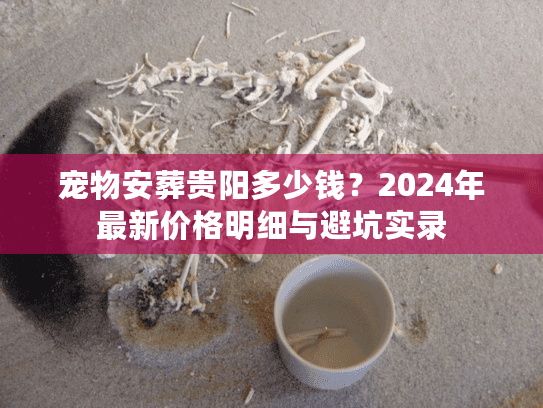 宠物安葬贵阳多少钱？2024年最新价格明细与避坑实录