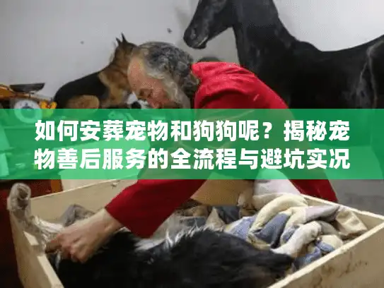 如何安葬宠物和狗狗呢？揭秘宠物善后服务的全流程与避坑实况