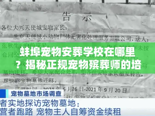 蚌埠宠物安葬学校在哪里？揭秘正规宠物殡葬师的培训内幕