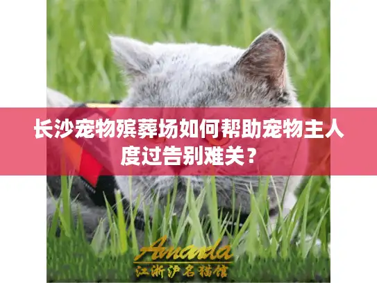 长沙宠物殡葬场如何帮助宠物主人度过告别难关？