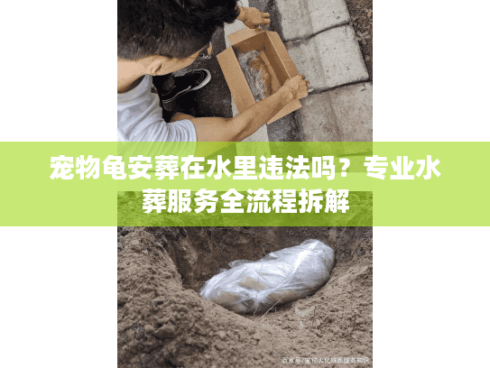 宠物龟安葬在水里违法吗?专业水葬服务全流程拆解 宠物龟安葬在水里违法吗?专业水葬服务全流程拆解