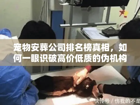 宠物安葬公司排名榜真相，如何一眼识破高价低质的伪机构