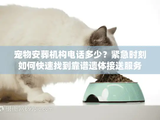 宠物安葬机构电话多少？紧急时刻如何快速找到靠谱遗体接送服务