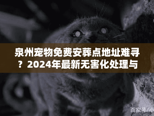 泉州宠物免费安葬点地址难寻？2024年最新无害化处理与低价善后方案