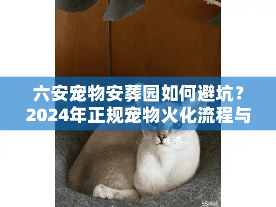 六安宠物安葬园如何避坑？2024年正规宠物火化流程与收费标准