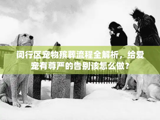 闵行区宠物殡葬流程全解析，给爱宠有尊严的告别该怎么做？