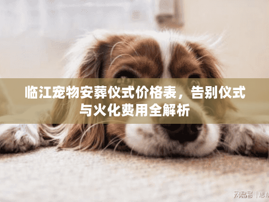 临江宠物安葬仪式价格表，告别仪式与火化费用全解析