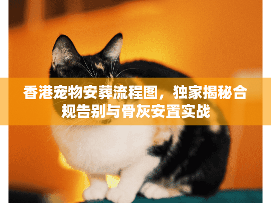 香港宠物安葬流程图，独家揭秘合规告别与骨灰安置实战