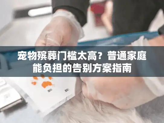 宠物殡葬门槛太高?普通家庭能负担的告别方案指南 宠物殡葬门槛太高?普通家庭能负担的告别方案指南