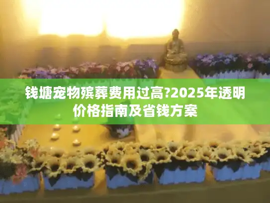 钱塘宠物殡葬费用过高?2025年透明价格指南及省钱方案