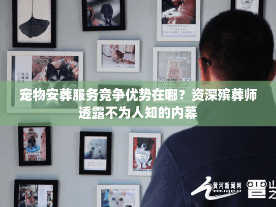 宠物安葬服务竞争优势在哪？资深殡葬师透露不为人知的内幕