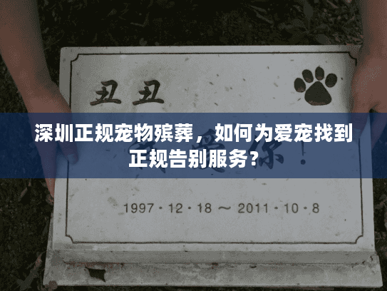 深圳正规宠物殡葬，如何为爱宠找到正规告别服务？