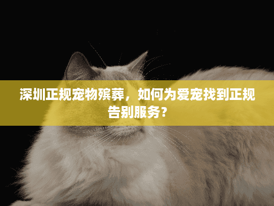 深圳正规宠物殡葬，如何为爱宠找到正规告别服务？